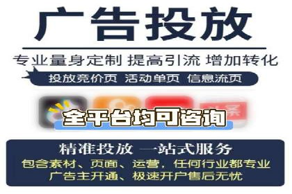 成功SEM服务案例：优化广告投放